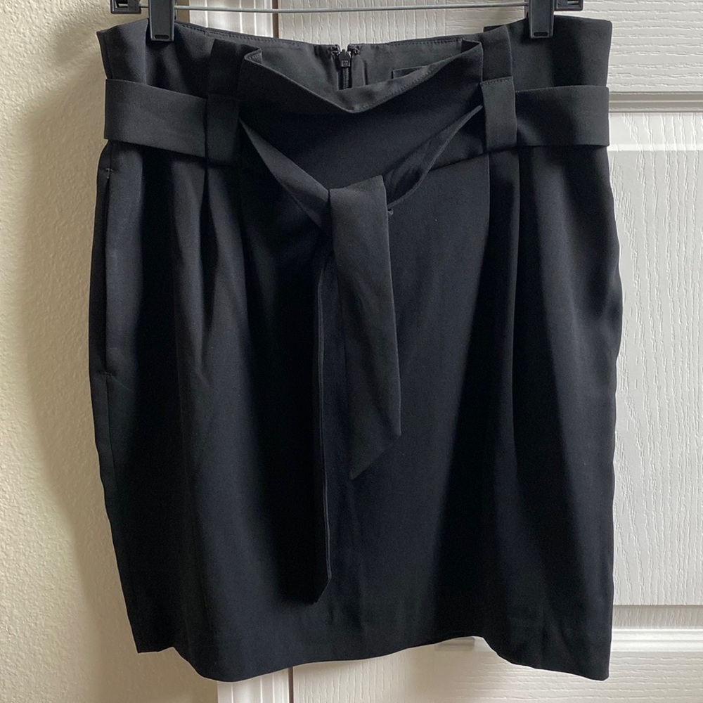 NWT Express Skirt